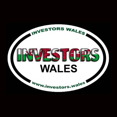 Investors.Wales Domain Name